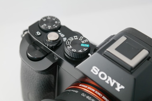 SONY ミラーレスカメラ